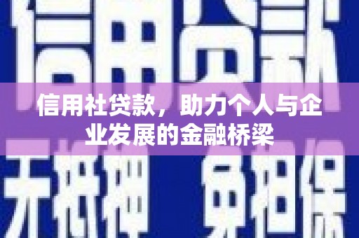 边坝信用社贷款，助力个人与企业发展的金融桥梁