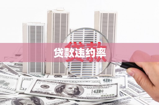 边坝贷款违约率