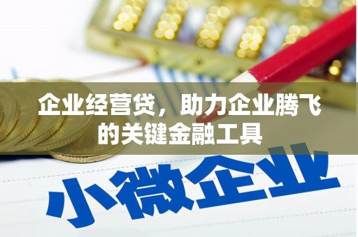 边坝企业经营贷，助力企业腾飞的关键金融工具