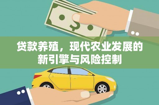 边坝贷款养殖，现代农业发展的新引擎与风险控制