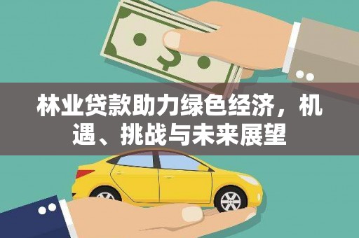 边坝林业贷款助力绿色经济，机遇、挑战与未来展望