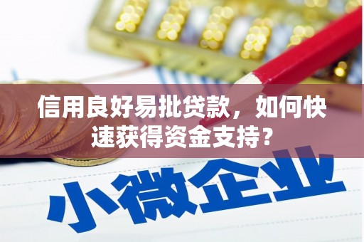 边坝信用良好易批贷款，如何快速获得资金支持？