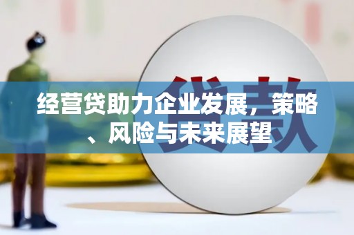 边坝经营贷助力企业发展，策略、风险与未来展望