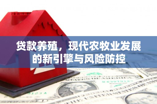 边坝贷款养殖，现代农牧业发展的新引擎与风险防控
