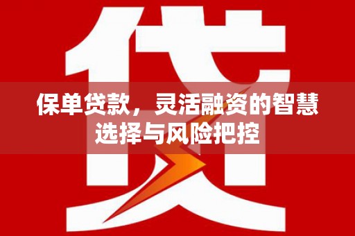 边坝保单贷款，灵活融资的智慧选择与风险把控