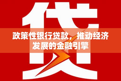 边坝政策性银行贷款，推动经济发展的金融引擎
