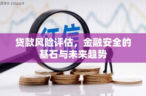 边坝贷款风险评估，金融安全的基石与未来趋势
