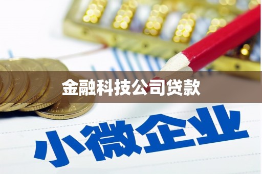 边坝金融科技公司贷款