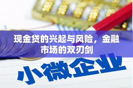 边坝现金贷的兴起与风险，金融市场的双刃剑