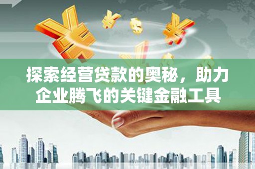 边坝探索经营贷款的奥秘，助力企业腾飞的关键金融工具