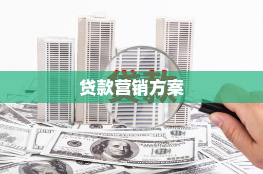 边坝贷款营销方案