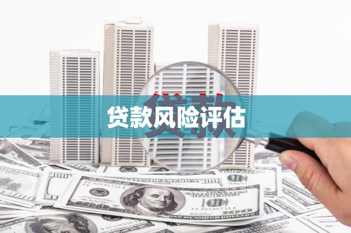边坝贷款风险评估