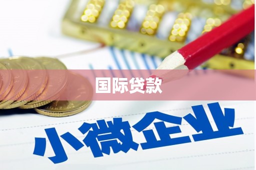 边坝国际贷款