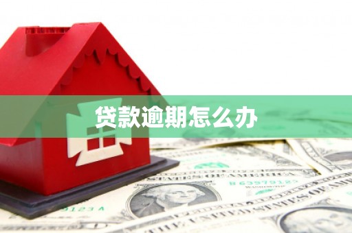 边坝贷款逾期怎么办