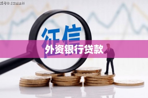边坝外资银行贷款