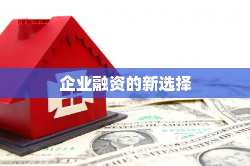 边坝企业融资的新选择