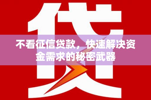 边坝不看征信贷款，快速解决资金需求的秘密武器