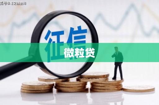 边坝微粒贷