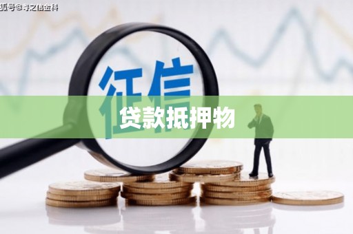 边坝贷款抵押物