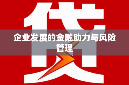 边坝企业发展的金融助力与风险管理