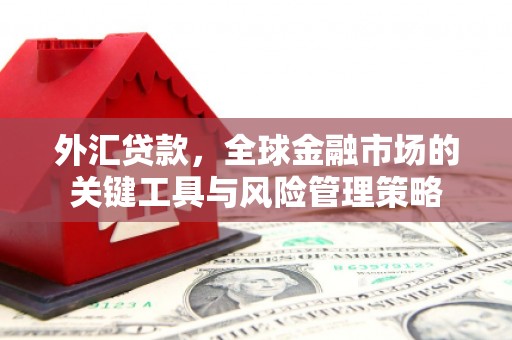 边坝外汇贷款，全球金融市场的关键工具与风险管理策略