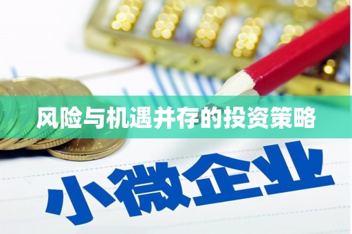 边坝风险与机遇并存的投资策略