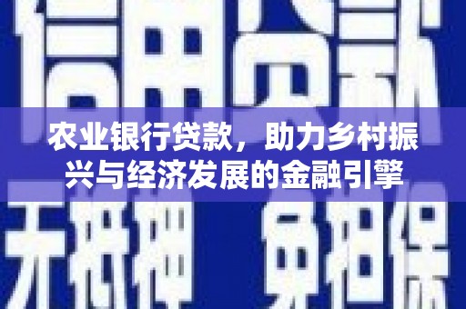 边坝农业银行贷款，助力乡村振兴与经济发展的金融引擎