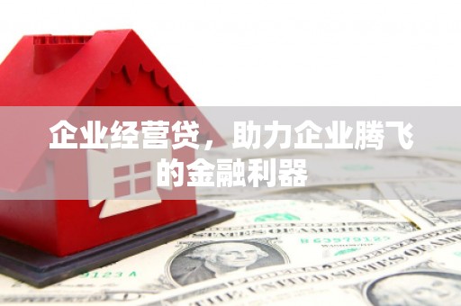 边坝企业经营贷，助力企业腾飞的金融利器