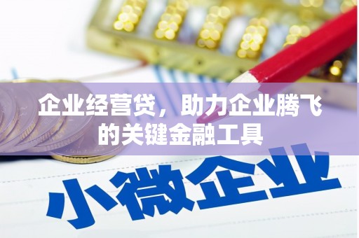 边坝企业经营贷，助力企业腾飞的关键金融工具