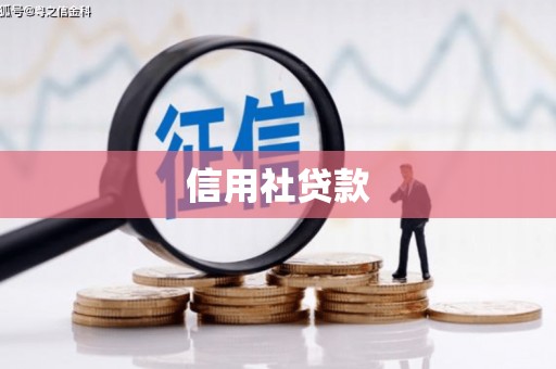 边坝信用社贷款
