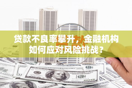 边坝贷款不良率攀升，金融机构如何应对风险挑战？