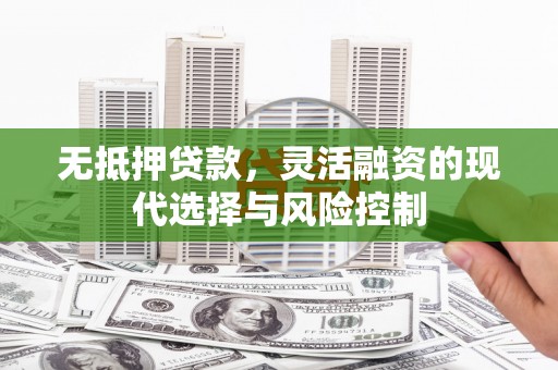 边坝无抵押贷款，灵活融资的现代选择与风险控制