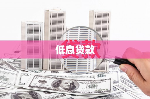 边坝低息贷款