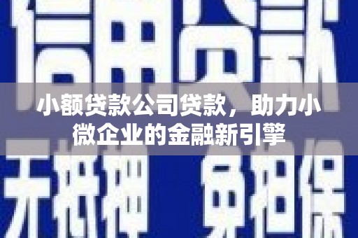 边坝小额贷款公司贷款，助力小微企业的金融新引擎