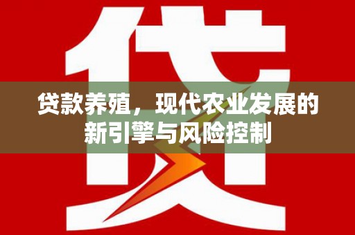 边坝贷款养殖，现代农业发展的新引擎与风险控制