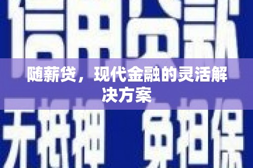 边坝随薪贷，现代金融的灵活解决方案
