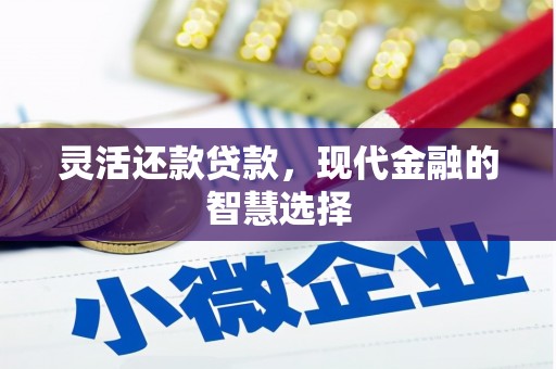 边坝灵活还款贷款，现代金融的智慧选择