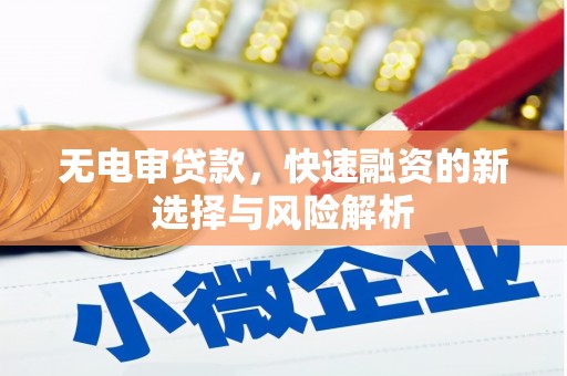 边坝无电审贷款，快速融资的新选择与风险解析