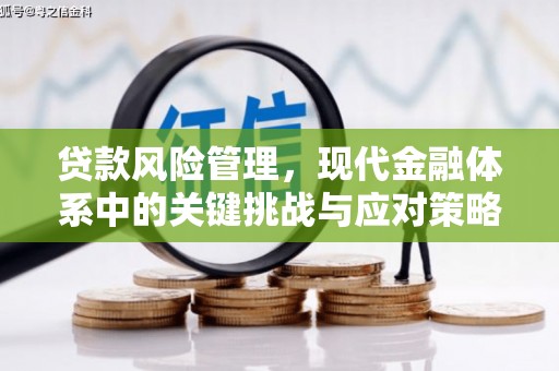 边坝贷款风险管理，现代金融体系中的关键挑战与应对策略