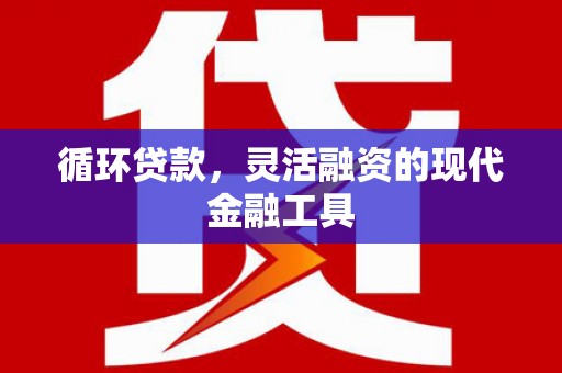 边坝循环贷款，灵活融资的现代金融工具