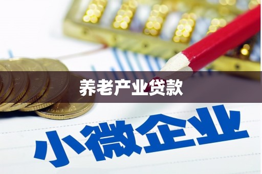 边坝养老产业贷款