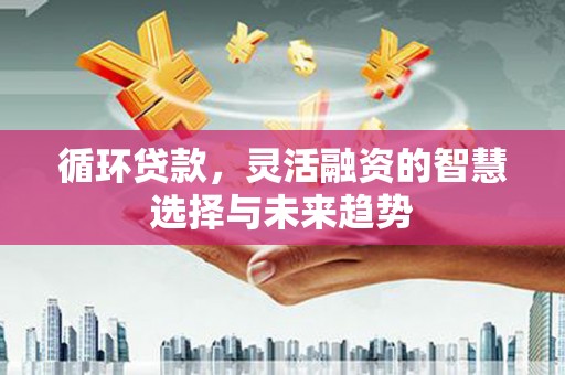 边坝循环贷款，灵活融资的智慧选择与未来趋势