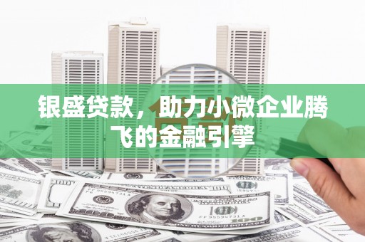 边坝银盛贷款，助力小微企业腾飞的金融引擎