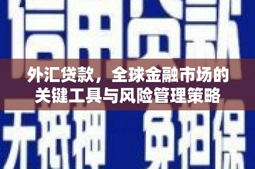 边坝外汇贷款，全球金融市场的关键工具与风险管理策略