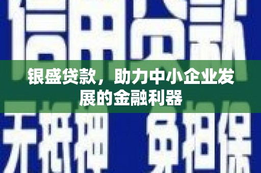 边坝银盛贷款，助力中小企业发展的金融利器