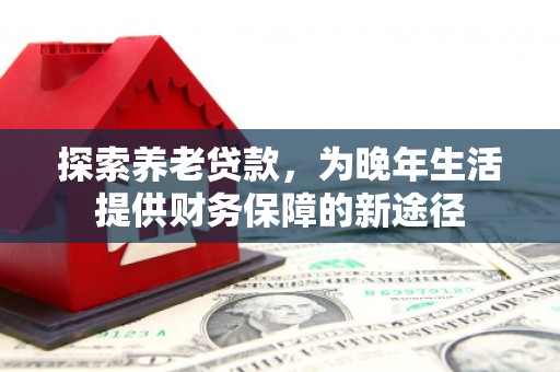 边坝探索养老贷款，为晚年生活提供财务保障的新途径