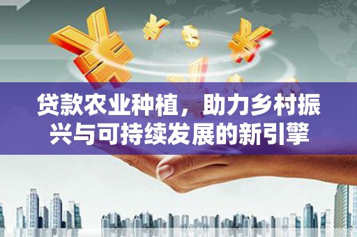 边坝贷款农业种植，助力乡村振兴与可持续发展的新引擎