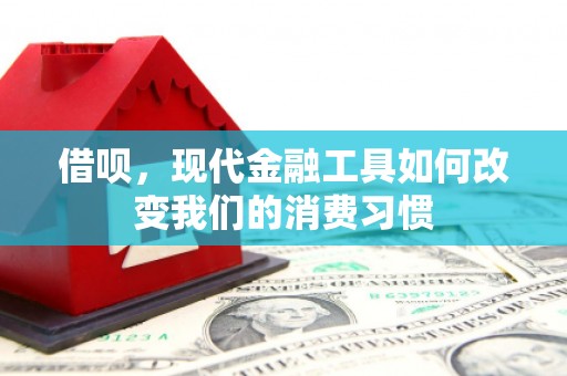 边坝借呗，现代金融工具如何改变我们的消费习惯