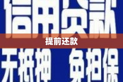 边坝提前还款