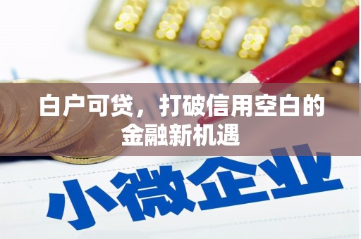 边坝白户可贷，打破信用空白的金融新机遇